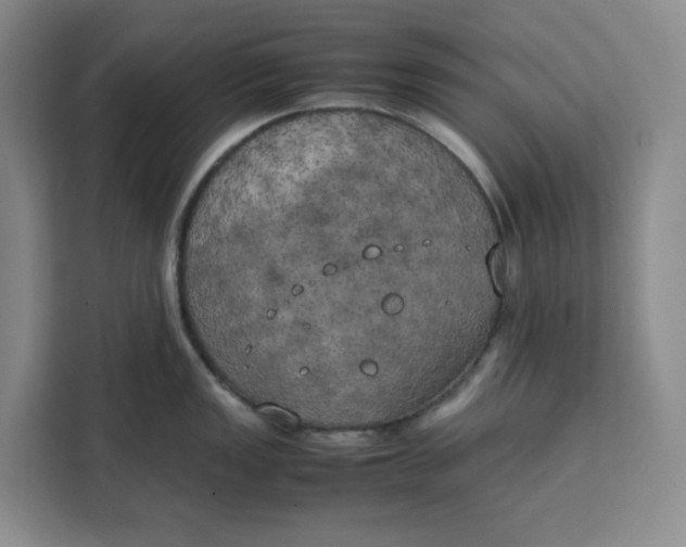 X0000111151149200907141336