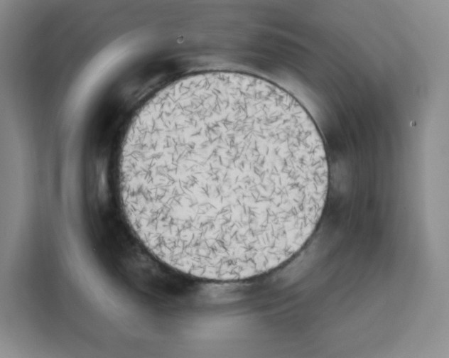 X0000111151150200907141336