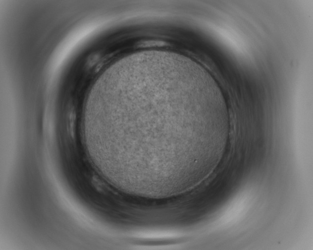 X0000111151151200907141336