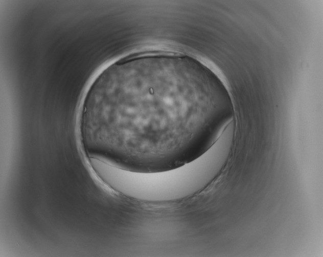 X0000111151152200907141336
