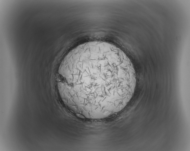 X0000111151153200907141336
