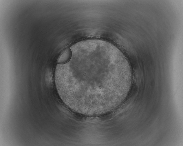 X0000111151154200907141336