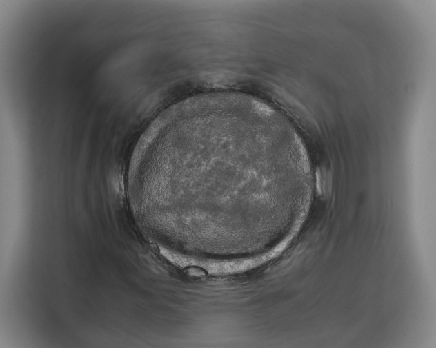 X0000111151155200907141336