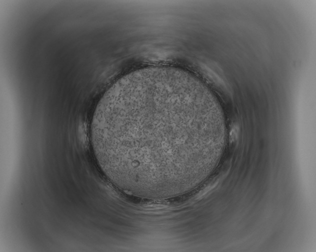 X0000111151156200907141336