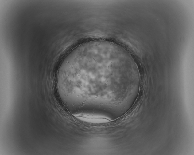 X0000111151157200907141336