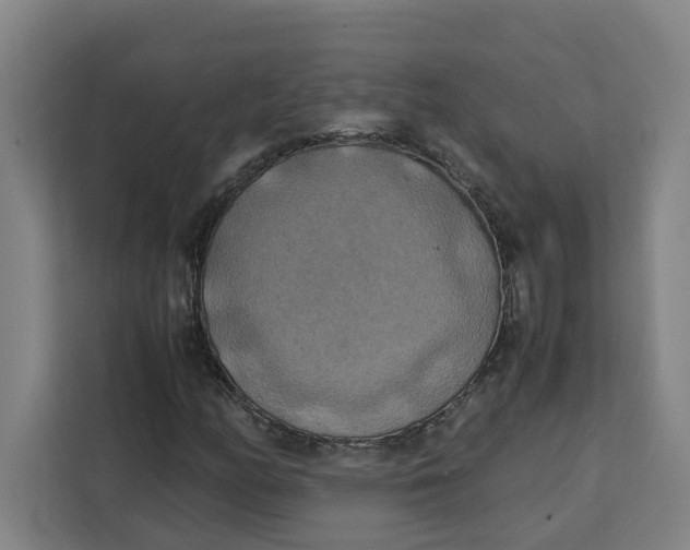 X0000111151158200907141336
