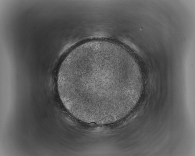 X0000111151160200907141335