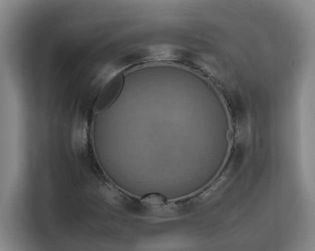 X0000111151161200907141335