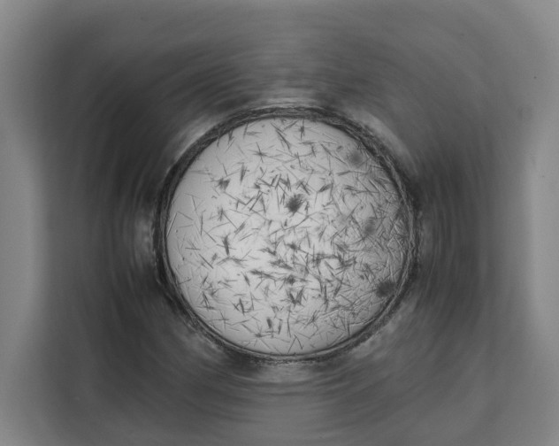 X0000111151162200907141335