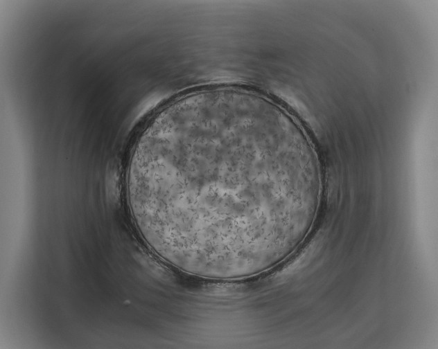 X0000111151163200907141335