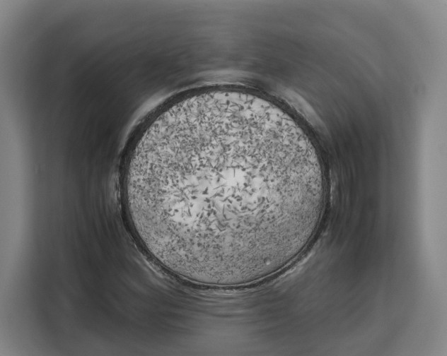 X0000111151164200907141335