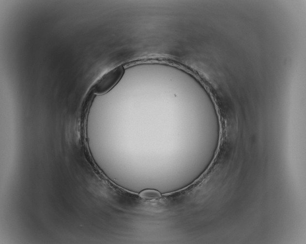 X0000111151165200907141335