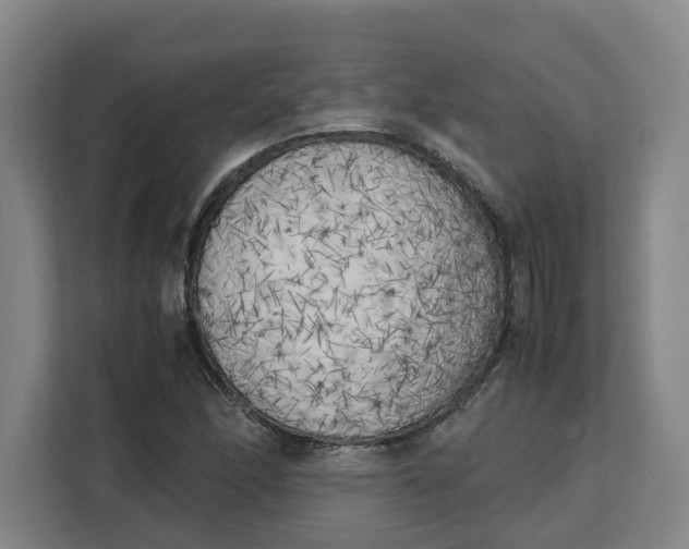 X0000111151166200907141335