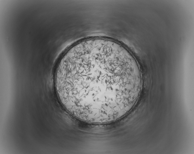 X0000111151167200907141335