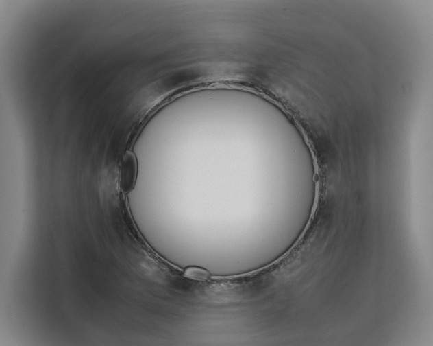 X0000111151169200907141335