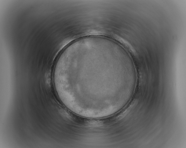 X0000111151170200907141335