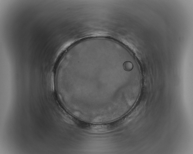 X0000111151171200907141335