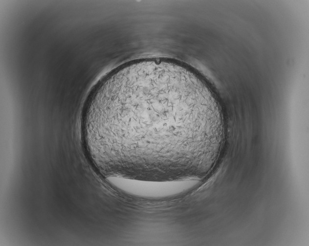 X0000111151173200907141335