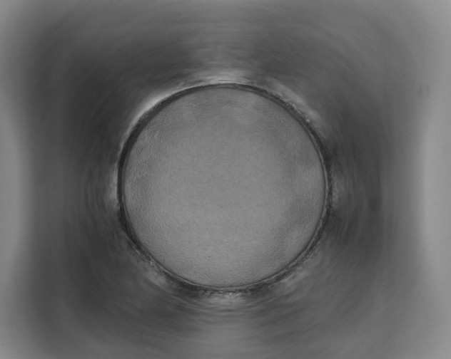 X0000111151174200907141335