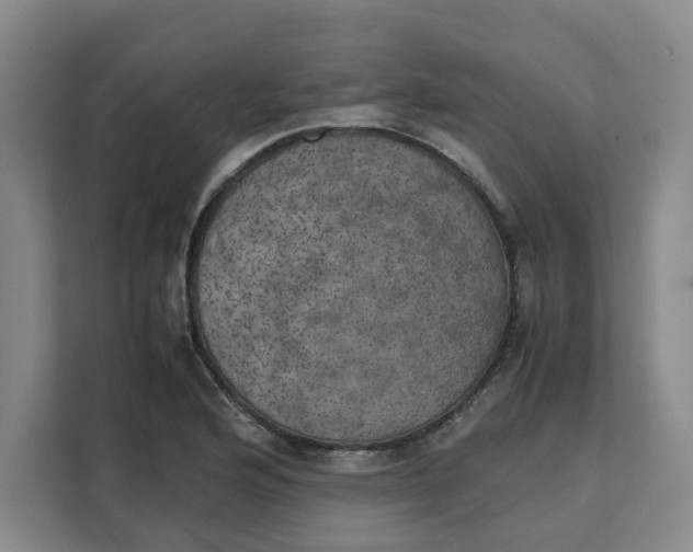 X0000111151176200907141335
