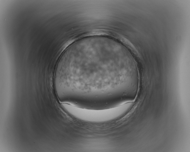 X0000111151177200907141335