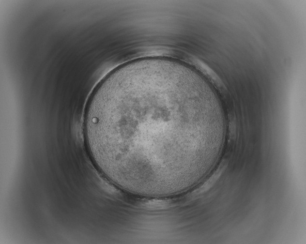 X0000111151178200907141335