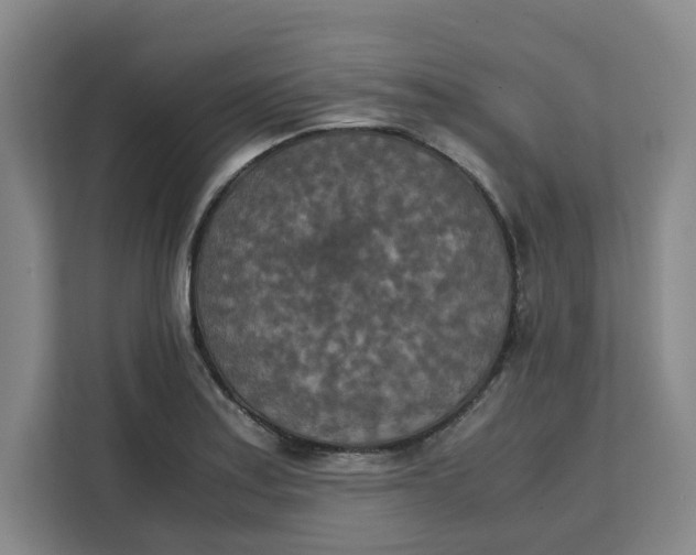 X0000111151179200907141335