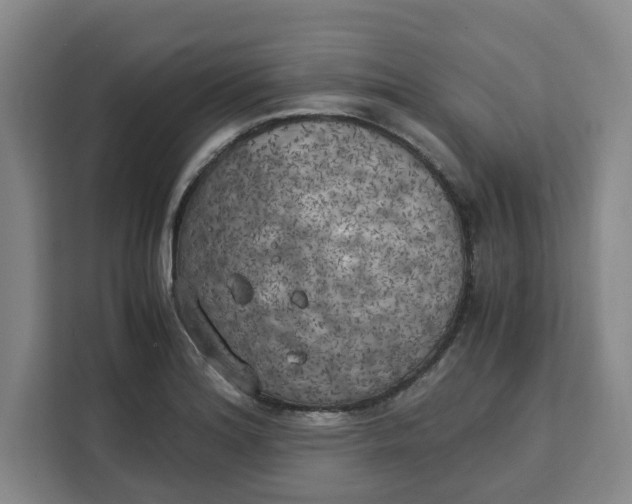 X0000111151180200907141335