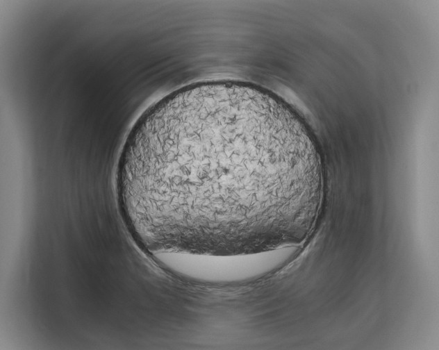 X0000111151181200907141335
