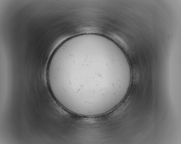 X0000111151182200907141335