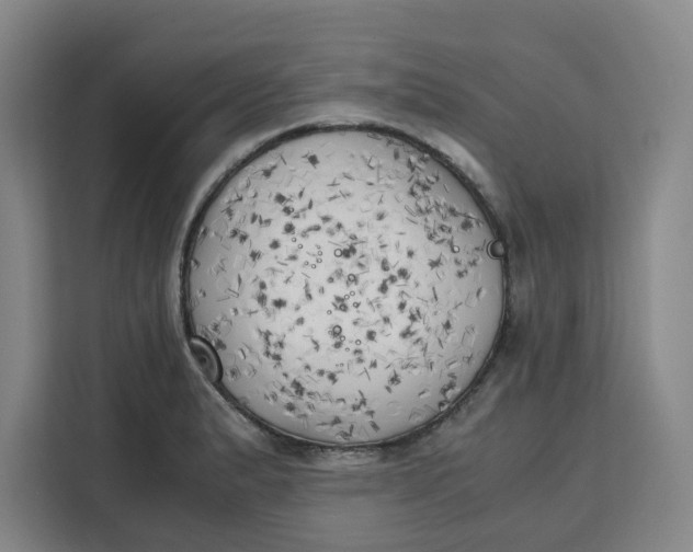 X0000111151183200907141335