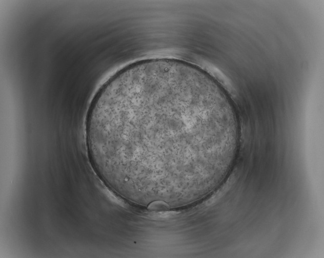 X0000111151184200907141335