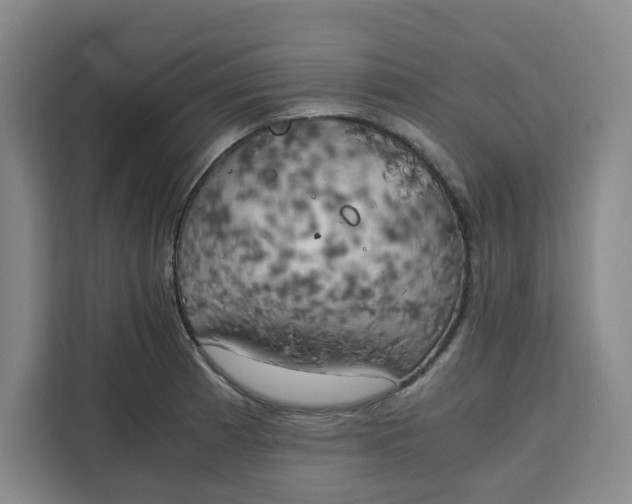X0000111151185200907141335