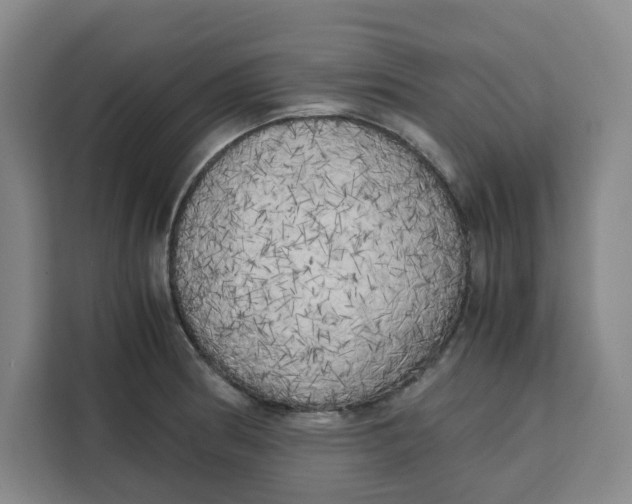X0000111151186200907141335