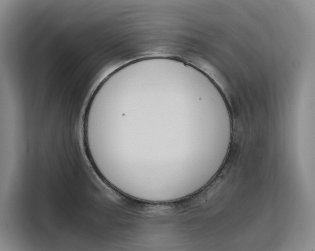 X0000111151187200907141335