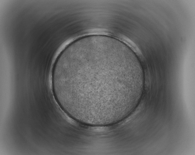 X0000111151188200907141335
