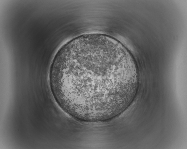 X0000111151189200907141335