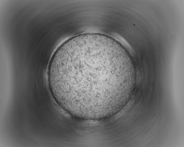X0000111151190200907141335