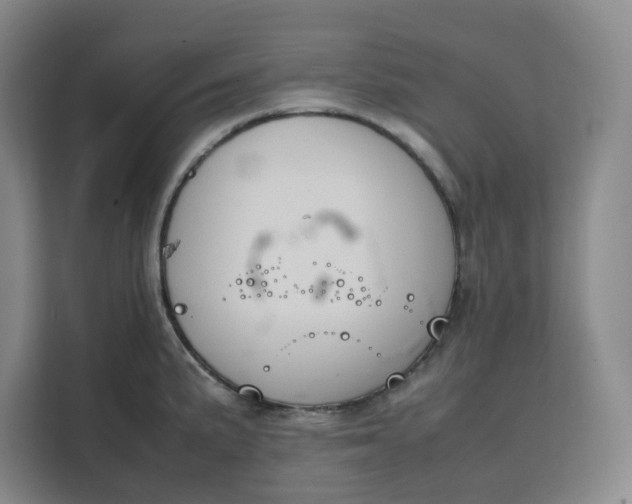 X0000111151191200907141335