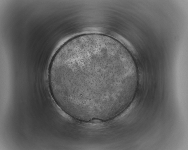 X0000111151192200907141335
