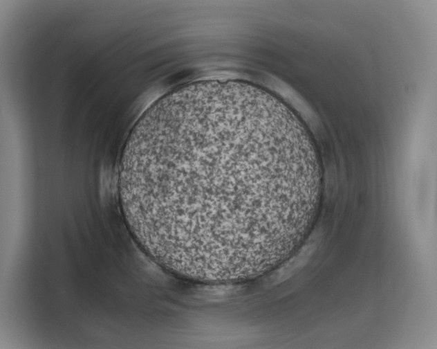 X0000111151193200907141335