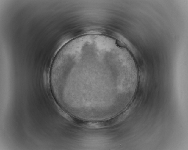 X0000111151194200907141335