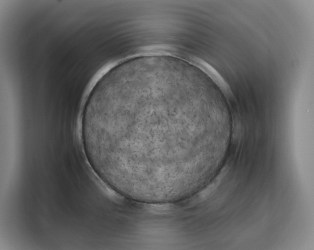 X0000111151196200907141335