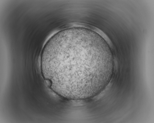 X0000111151198200907141335
