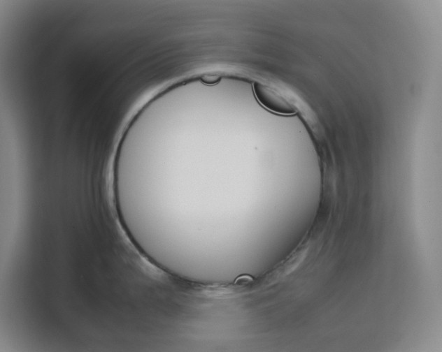 X0000111151199200907141335