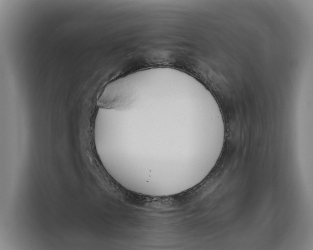 X0000111151201200907141334