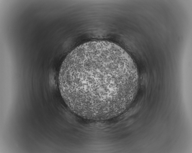 X0000111151202200907141334
