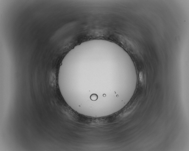 X0000111151203200907141334