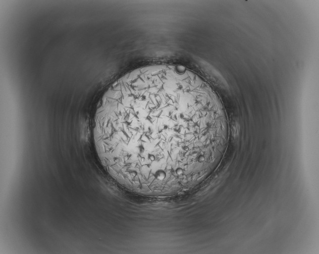 X0000111151204200907141334