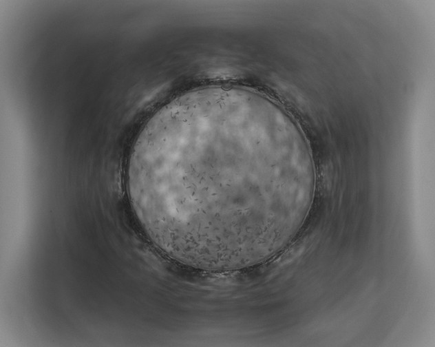 X0000111151205200907141334